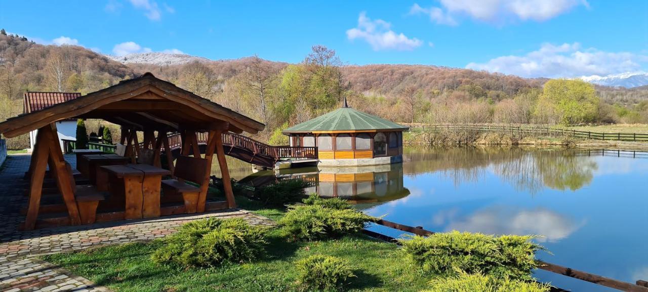 Poiana Rasnoavei Hotel Rîşnov Exterior foto