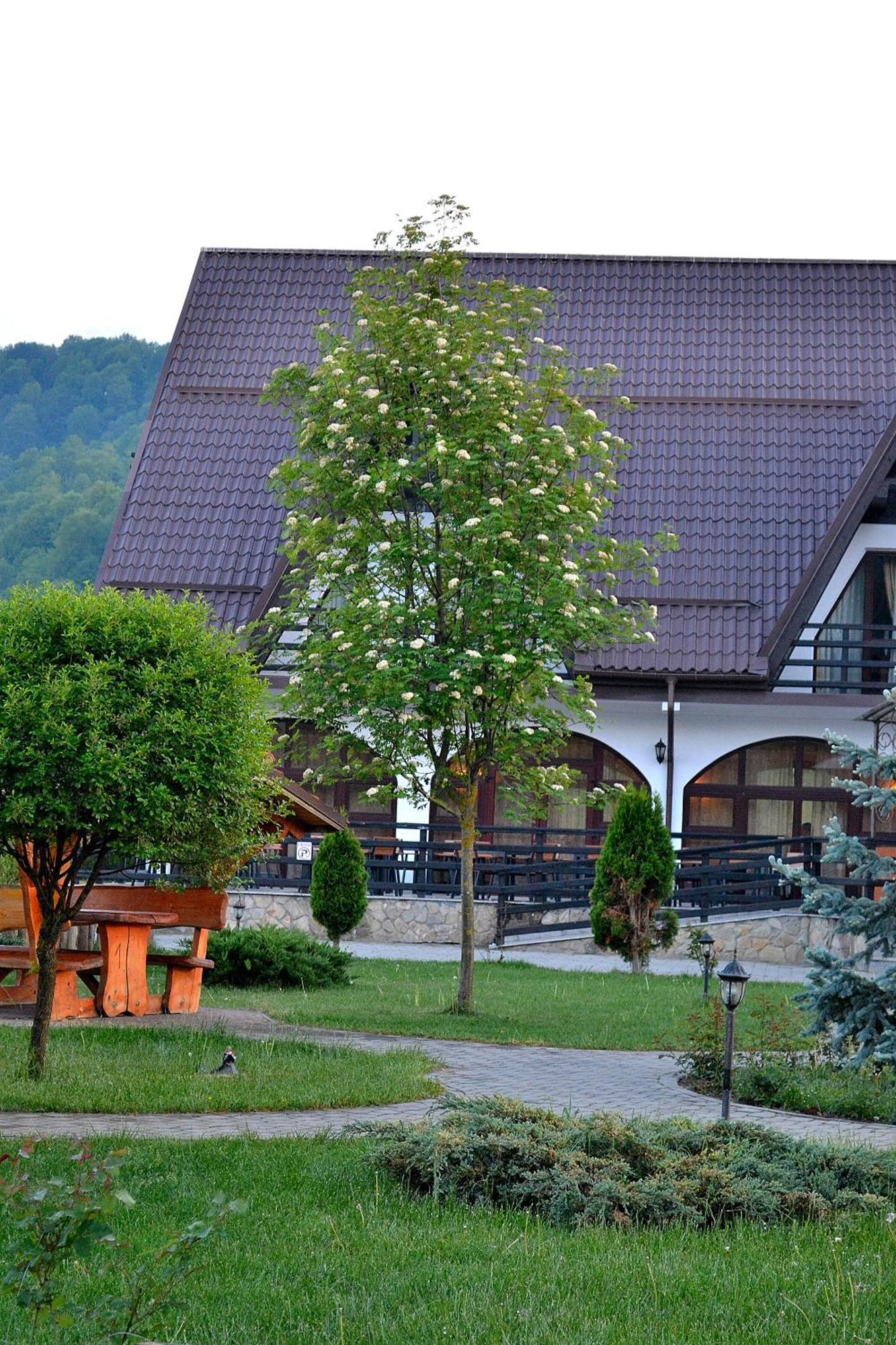 Poiana Rasnoavei Hotel Rîşnov Exterior foto