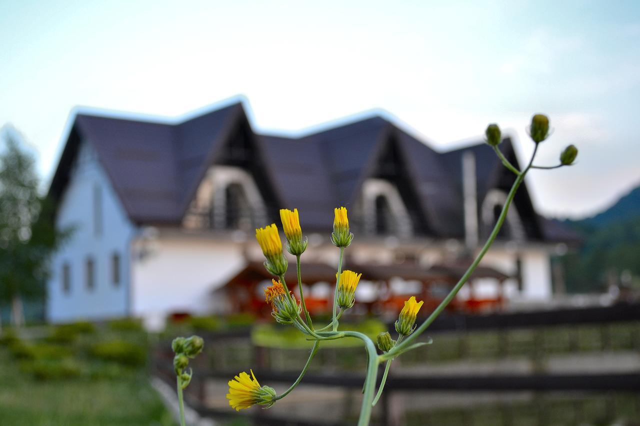 Poiana Rasnoavei Hotel Rîşnov Exterior foto